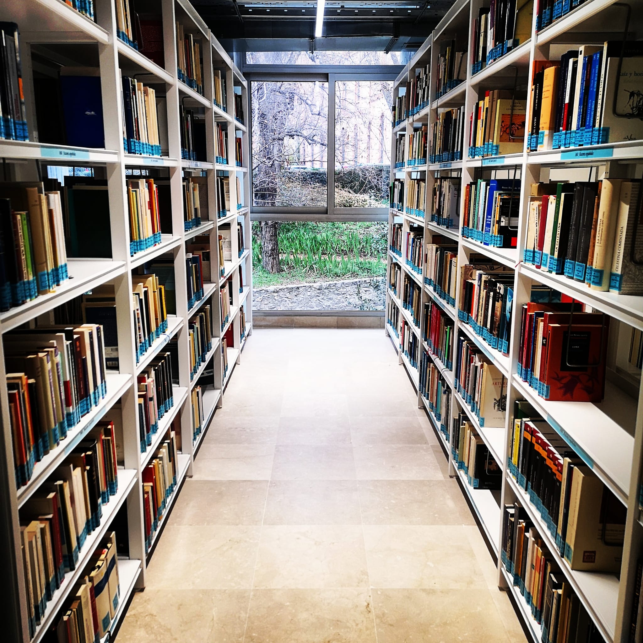 Biblioteca Ana Pardo